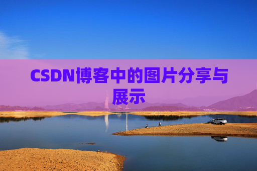 CSDN博客中的图片分享与展示